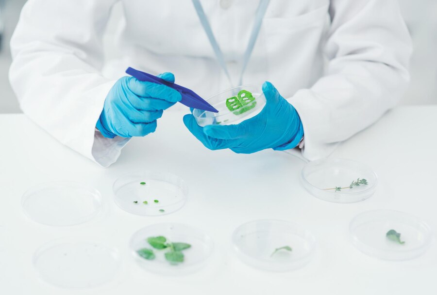 Gut Microbiome Test